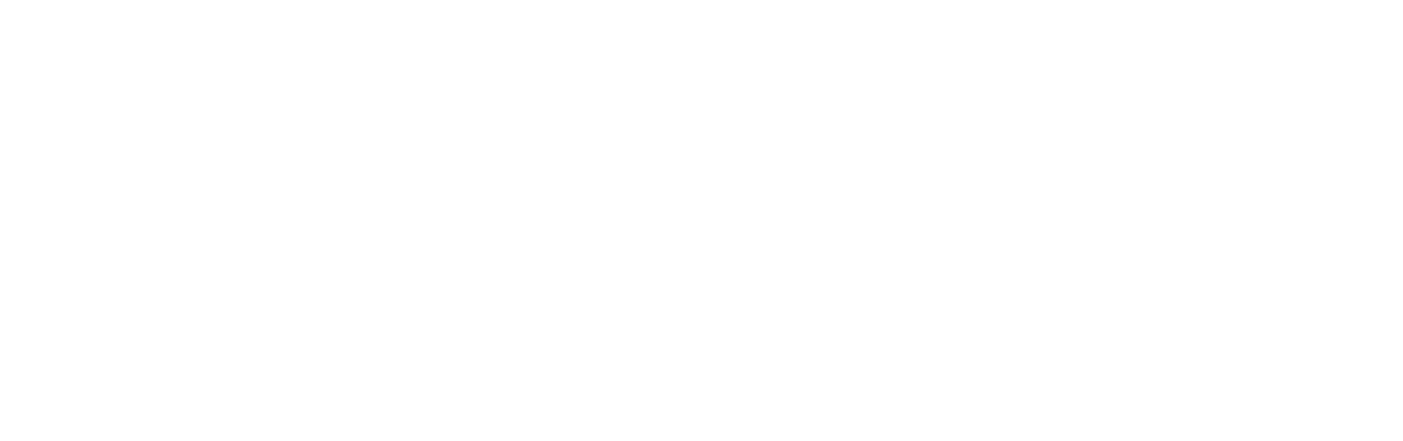 چیزبین